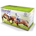 Horse Supplements